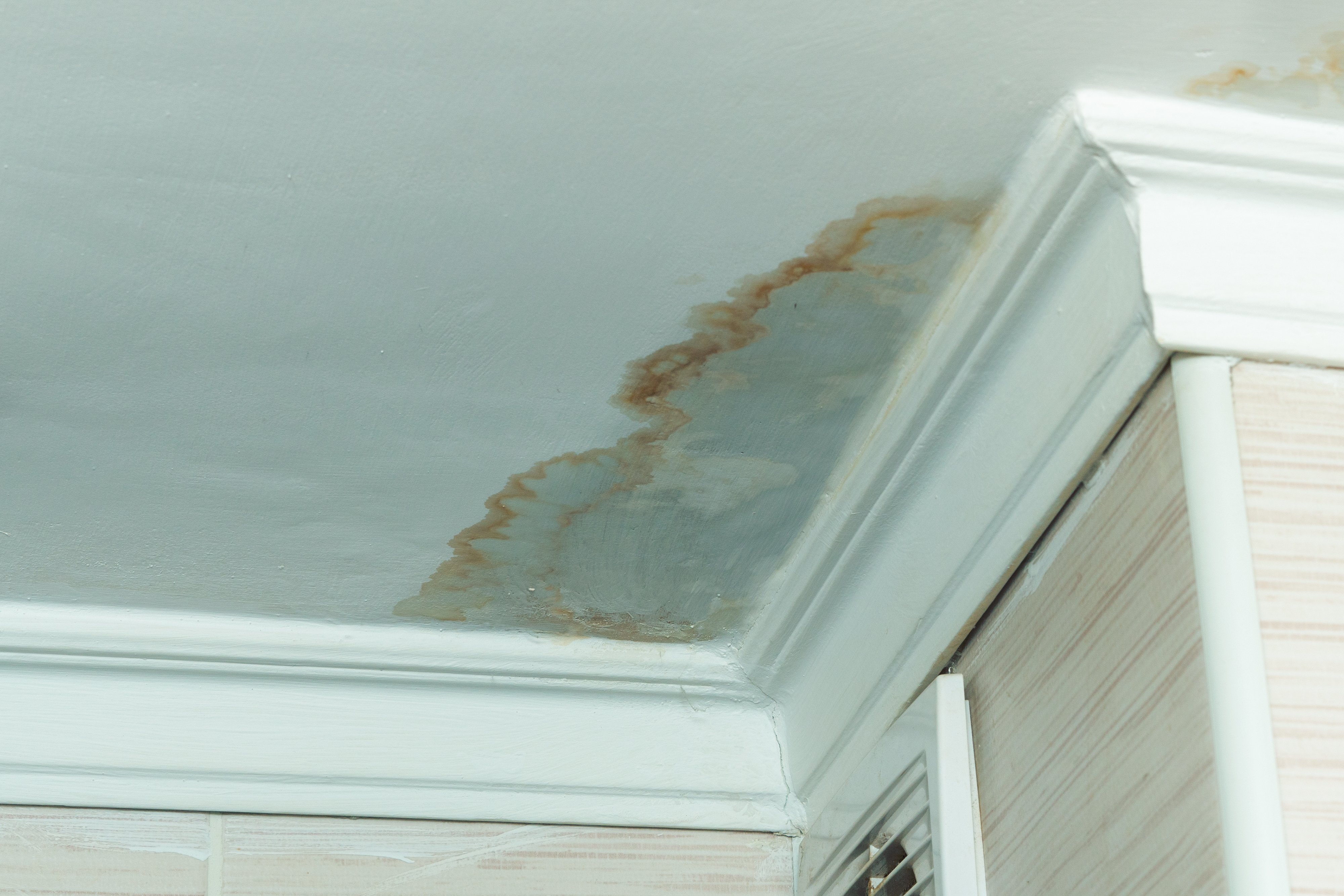 How To Prevent Water Damage In Fredericksburg Virginia Homes