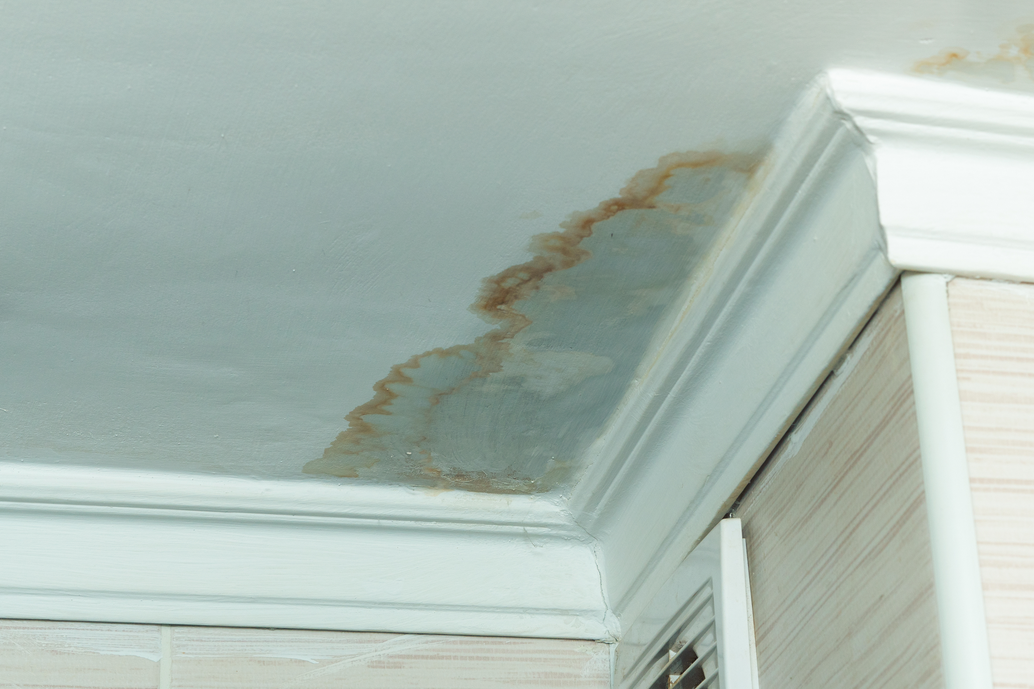 How to Prevent Water Damage in Fredericksburg Virginia Homes